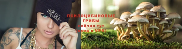 мескалин Алзамай